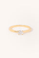 Thelma Ø4mm - Diamant naturel